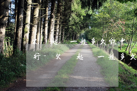欠錢起訴一般多久能申請強制執(zhí)行-欠錢起訴一般多久能申請強制執(zhí)行呢