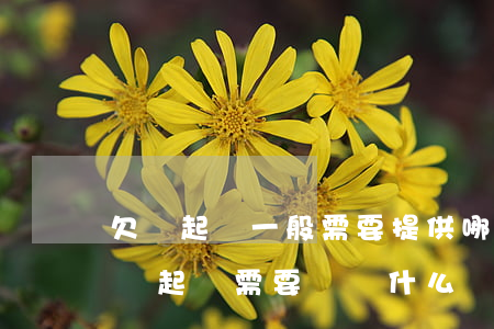 欠錢起訴一般需要提供哪些證據(jù)（欠錢起訴需要準備什么）