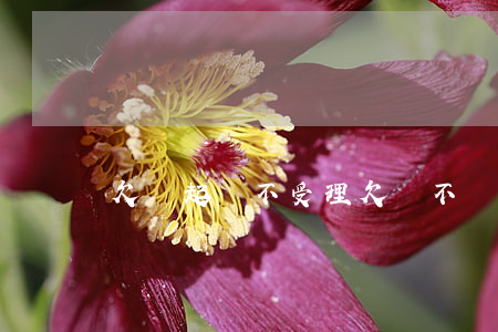 欠錢起訴不受理(欠錢不給起訴能要回錢嗎)