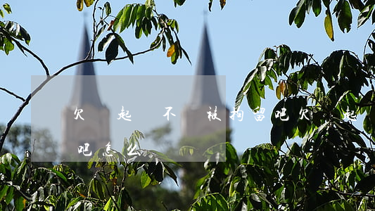 欠錢起訴不會被拘留吧(欠錢起訴不會被拘留吧怎么辦)