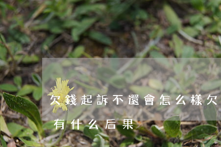 欠錢起訴不還會怎么樣(欠錢不還,起訴欠錢的有什么后果)