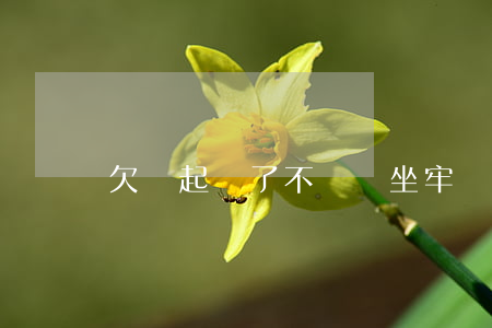 欠錢起訴了不還會坐牢嗎（欠錢起訴了不還）