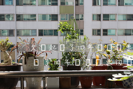 欠錢起訴了四年錢還沒要回來咋辦-欠錢起訴了四年錢還沒要回來咋辦呢