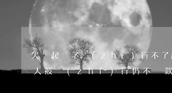 欠錢起訴了執(zhí)行不了(起訴了欠款人被執(zhí)行仍不還款怎么辦)
