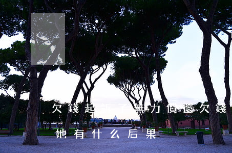 欠錢起訴了無力償還(欠錢無力償還起訴后對她有什么后果)