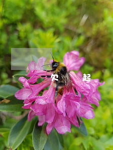 欠錢起訴他沒錢怎么辦(欠錢起訴他沒錢怎么辦)