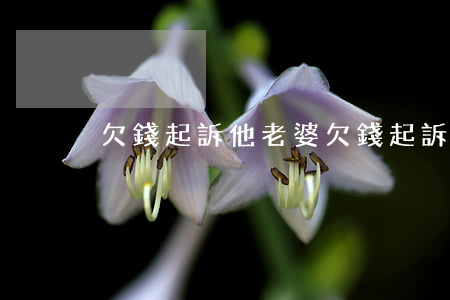 欠錢起訴他老婆(欠錢起訴他老婆不出庭)