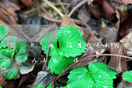 欠錢起訴以后找不到人(欠錢起訴以后找不到人怎么處理)