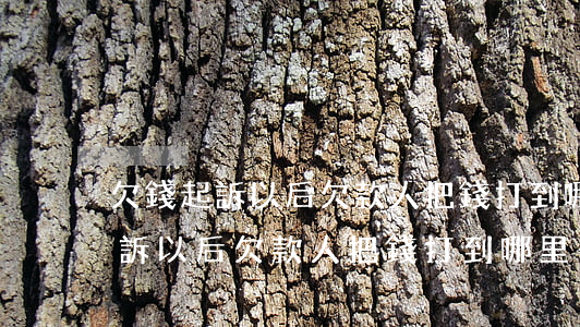 欠錢起訴以后欠款人把錢打到哪里-欠錢起訴以后欠款人把錢打到哪里去了