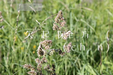欠錢起訴保全對方資產(chǎn)-起訴別人資產(chǎn)保全