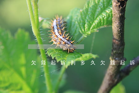 欠錢起訴判多久(欠錢起訴后多久會坐牢)
