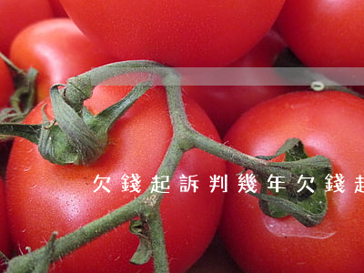 欠錢起訴判幾年(欠錢起訴法院怎么判)