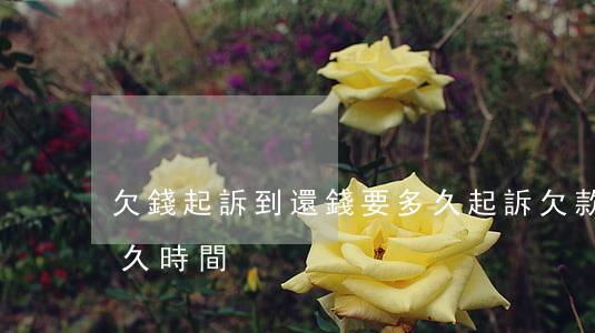 欠錢起訴到還錢要多久(起訴欠款到還款要多久時間)