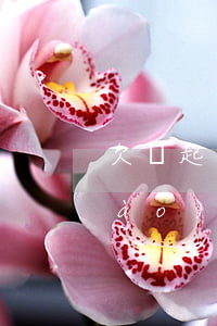 欠錢起訴前流程(欠錢起訴流程是先調(diào)節(jié)嗎)