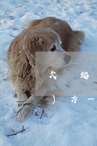 欠錢起訴勝訴了(欠錢起訴勝訴了對(duì)方一直沒(méi)錢還可以直接申請(qǐng)抓人么)