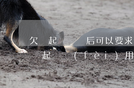 欠錢起訴勝訴后可以要求還錢期限嗎（欠錢勝訴起訴費(fèi)用）