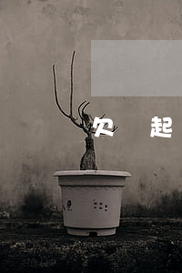 欠錢起訴受理后(欠錢起訴受理后)