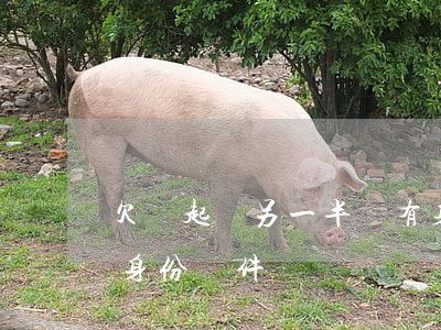 欠錢起訴另一半沒有身份證(起訴沒有對方的身份證件)