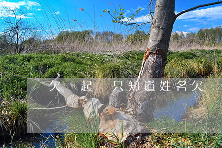 欠錢起訴只知道姓名（欠錢起訴只知道姓名）