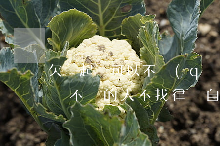 欠錢起訴可以不請(qǐng)律師(起訴欠錢不還的人,不找律師自己能起訴嗎)