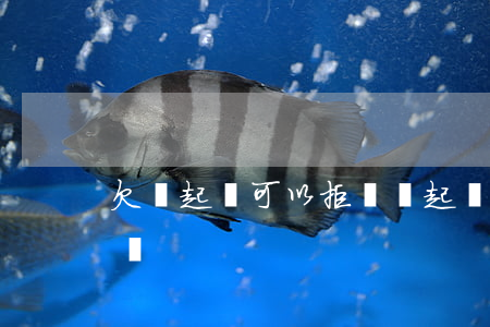 欠錢起訴可以拒絕嗎(起訴欠錢不還可以報警嗎)