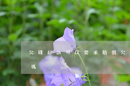 欠錢起訴可以要求賠償(欠錢起訴可以要回來嗎)