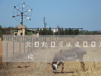 欠錢起訴可以退貨嗎(欠錢起訴可以退貨嗎法院)