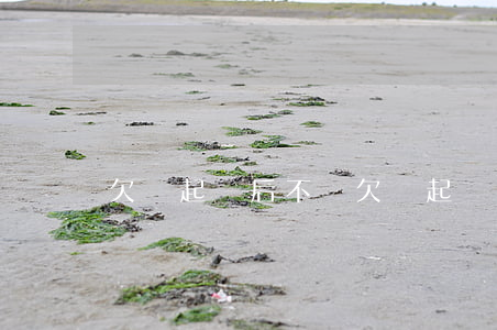 欠錢起訴后不還(欠錢起訴后不還會怎么樣)