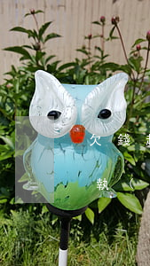 欠錢起訴后執(zhí)行說沒錢(欠錢起訴執(zhí)行沒錢咋辦)