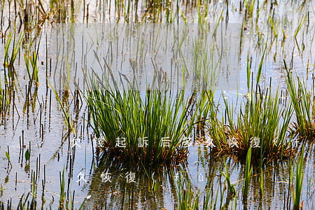 欠錢起訴后多久恢復(fù)(欠錢起訴后多久恢復(fù))