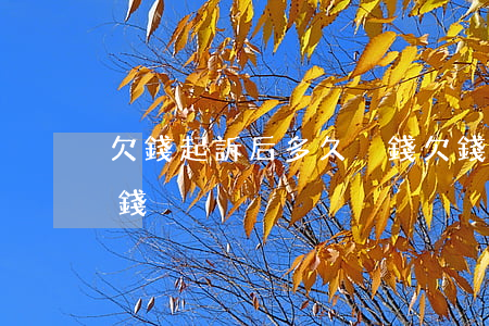 欠錢起訴后多久沒錢(欠錢起訴以后,多久能回錢)