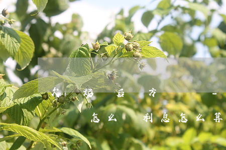 欠錢起訴后對方沒錢還-欠錢起訴后對方沒錢還怎么辦 利息怎么算