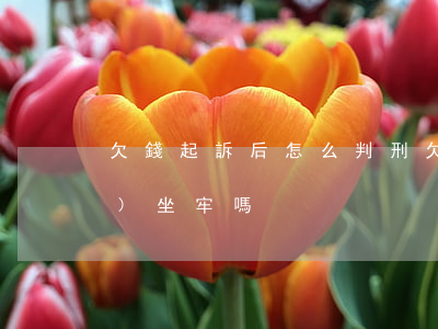 欠錢起訴后怎么判刑(欠錢起訴了會(huì)坐牢嗎)