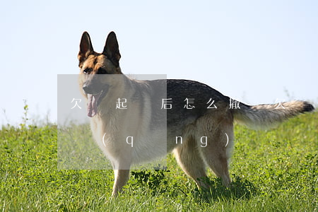 欠錢起訴后怎么撤銷(欠錢起訴后怎么撤銷申請(qǐng))