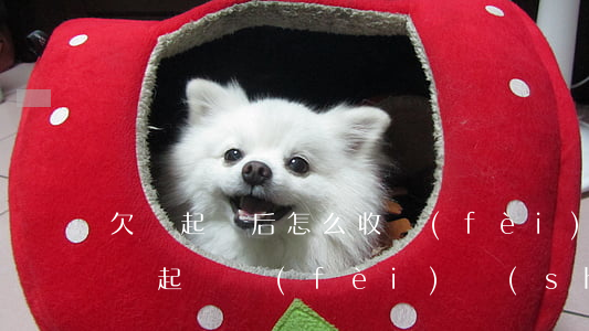 欠錢起訴后怎么收費(fèi)-欠錢被起訴起訴費(fèi)誰(shuí)出