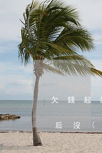 欠錢起訴后沒(méi)效果怎辦(欠錢起訴后沒(méi)錢還怎么辦)