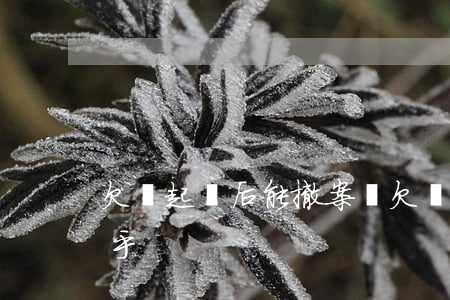 欠錢起訴后能撤案嗎(欠錢起訴后能撤案嗎知乎)