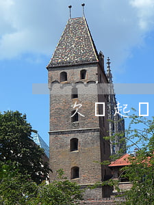 欠錢起訴后還不給錢(欠錢起訴不給錢怎么辦)