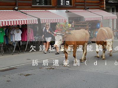 欠錢起訴后還能調(diào)解嗎(欠錢起訴后還能調(diào)解嗎怎么辦)