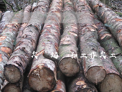 欠錢起訴和工作 欠工錢起訴有用嗎