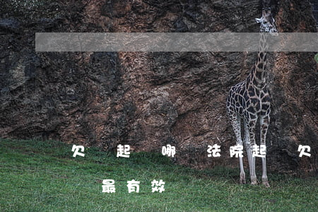 欠錢起訴哪個法院起訴(欠錢起訴哪個法院起訴最有效)