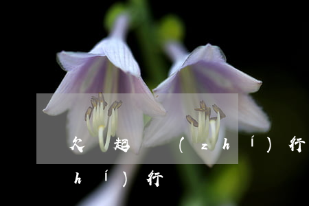 欠錢起訴執(zhí)行難(起訴欠款執(zhí)行)