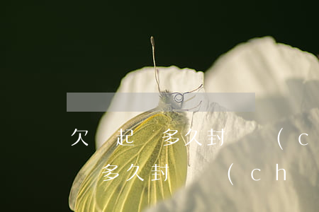 欠錢起訴多久封財產(chǎn) 欠錢被起訴多久封財產(chǎn)