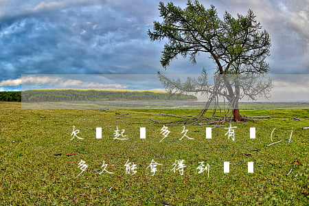 欠錢起訴多久會有結(jié)果(欠錢起訴多久能拿得到錢嗎)