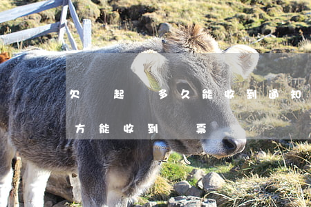 欠錢起訴多久能收到通知-欠款起訴多久對方能收到傳票