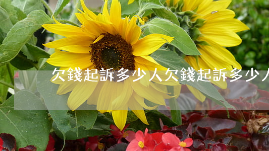 欠錢起訴多少人 欠錢起訴多少人可以起訴