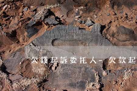 欠錢起訴委托人-欠款起訴委托書