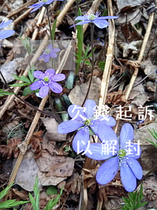 欠錢起訴封號怎么辦(欠債被起訴賬戶多久可以解封)