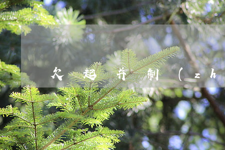 欠錢起訴并強制執(zhí)行的后果
