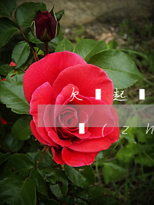 欠錢起訴強制需要多久(欠債起訴到法院強制執(zhí)行的費用是多少)